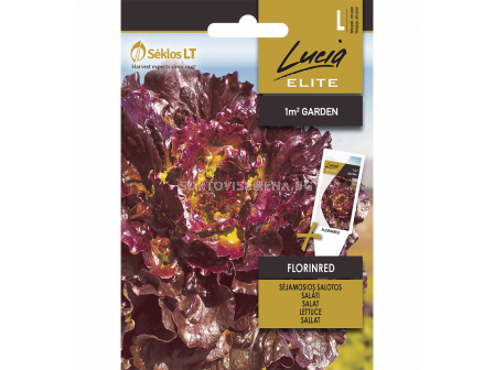 Салата FLORINRED -'SK-25 семена - sortovisemena.bg Салата FLORINRED -'SK-25 семена