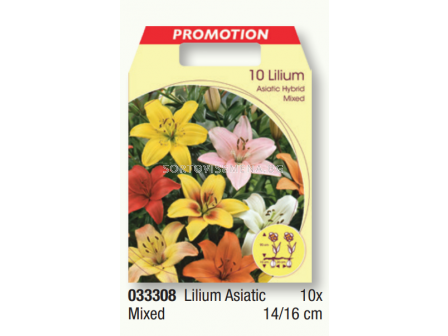 Лилиум азиатски микс/ Lilium asiatic mixed - 1 пакет- 10 броя