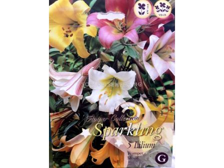 Лилиуми (Liliums) Sparkling Trumpet Mix