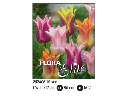 Лале микс/ Tulipa lily-flowered mixed: Пакет: 1 оп. - 10 бр.