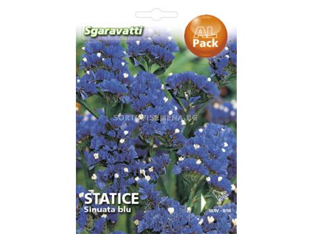 Семена Лимониум - син`SG - Limonium - blue`SG