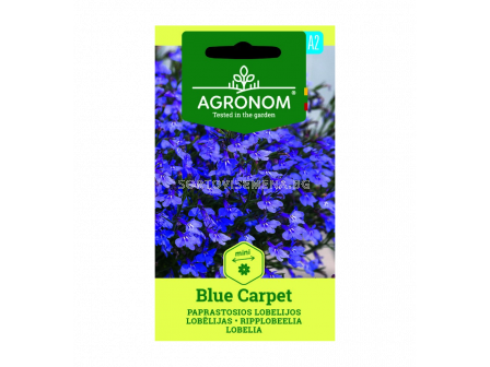 ЛОБЕЛИЯ LOBELIA, BLUE CARPET СК