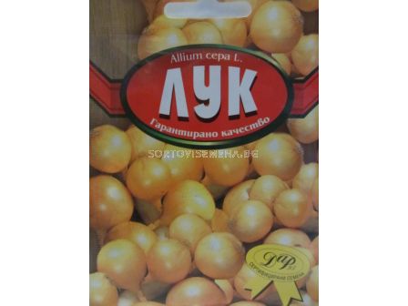 Сорт лук Лясковски барут. Аграра ООД.