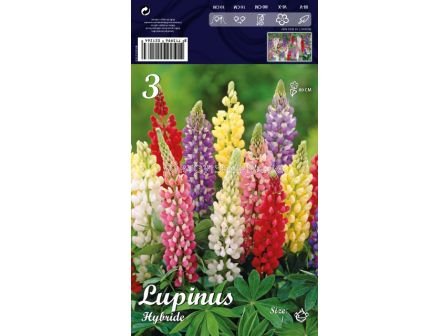 Лупина Микс - Lupinus Mix