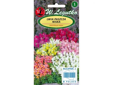 ЛГ КУЧЕНЦА ДЖУДЖЕ МИКС Antirrhinum majus nanum dwarf mixture  