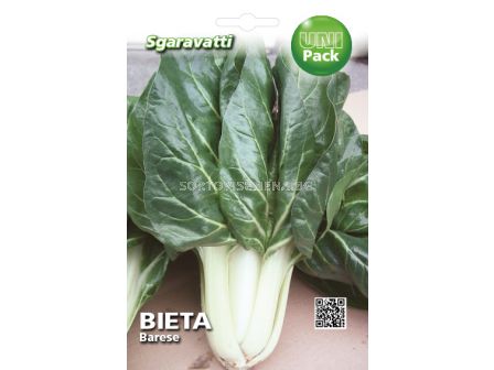 Семена манголд Barese SG