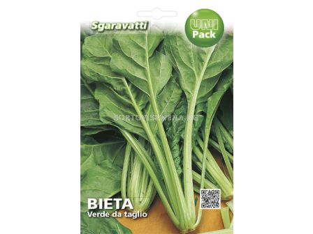 манголд Liscia Verde da Taglio`SG
