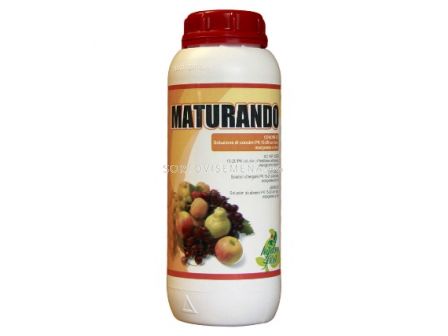 Матурандо - Maturando - 1