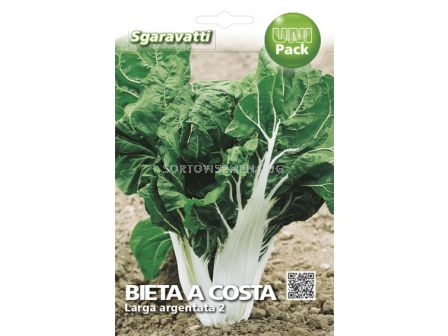 Семена Манголд (Mangold) Verde a Costa Larga Argentata 2`SG 