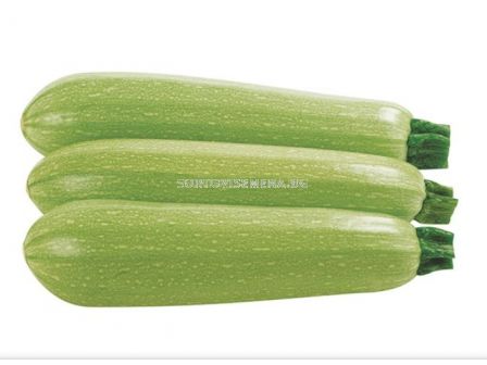 Семена Тиквички светли Марчела / Marcella F1- ранни - 10 бр. семена