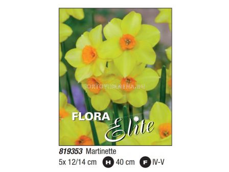 Нарцис/ multifl. Martinette - Пакет: 1 оп. - 5 бр. 