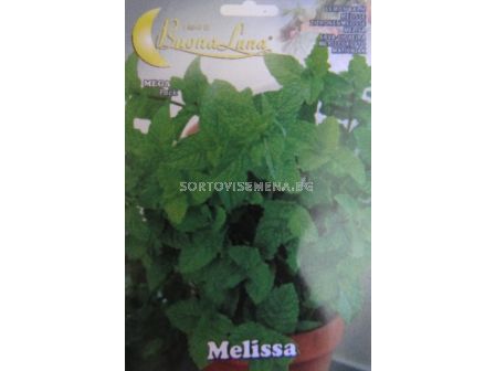 Семена Маточина