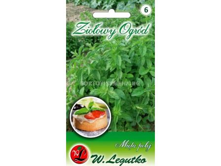 ЛГ МЕНТА БЛАТНА - 2