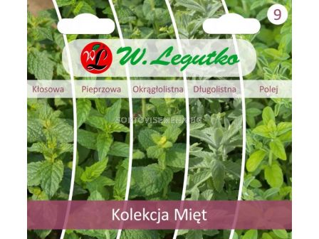 ЛГ МЕНТА КОЛЕКЦИЯ