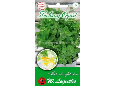 СЕМЕНА МЕНТА КРЪГЛОЛИСТНА -  ЛГ