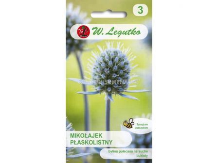 ЛГ ЕРИНГИУМ Eryngium planum grey-blue  