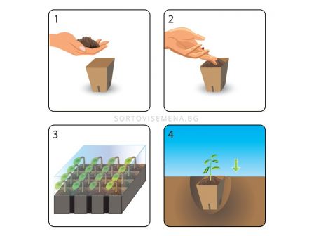 ПЛАНТИНА Комплект саксии мини оранжерия / с тава 12 дупки Plantina Doniczki do rozsad zestaw mini szklarenka /z paletka 12 otw   - 1