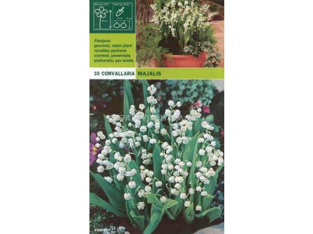 Момина сълза (Convallaria majalis) 10бр