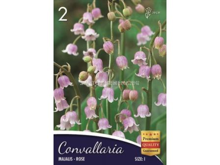 Момина сълза (Convallaria majalis) Розова 