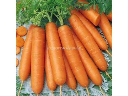 Семена моркови Карболи F1