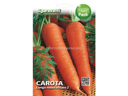 Семена моркови Lunga Rossa Ottusa 2`SG