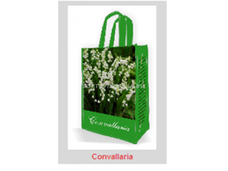 Момина сълза (Convallaria)