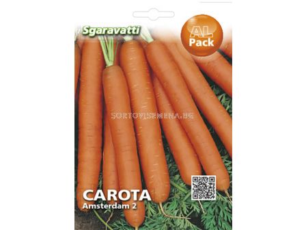 Семена моркови Амстердам 2`SG