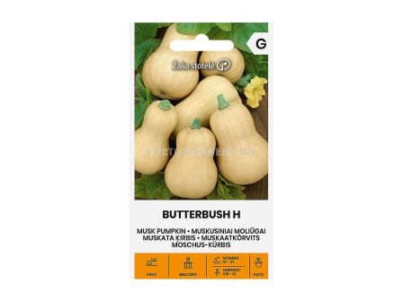 СК СЕМЕНА ТИКВА BUTTERBUSH H  