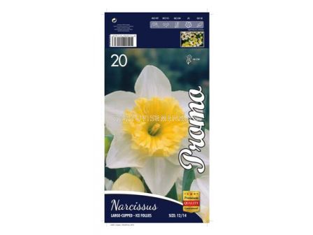 Нарцис (Narcissus) Large-Cupped Ice-Follies (20 бр.)