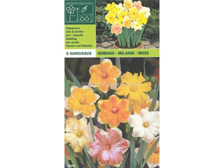 Нарцис микс -  Narcissus mix - 5 бр (пакет) 