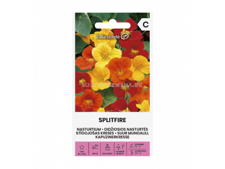 ЛАТИНКА SPLITFIRE - NASTURTIUM - 'SK - 5г