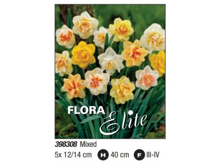 Нарциси двойни микс - Пакет: 1 оп. - 5 бр. 