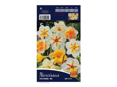 Нарцис Corona Mix -  Narcissus Corona Mix