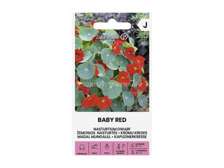 СЕМЕНА ЛАТИНКА НИСКА BABY RED  СК 