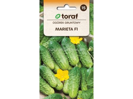 СЕМЕНА КОРНИШОНИ МАРИЕТА/ Ogorek Marieta F1 - 3 г- ТОРАФ