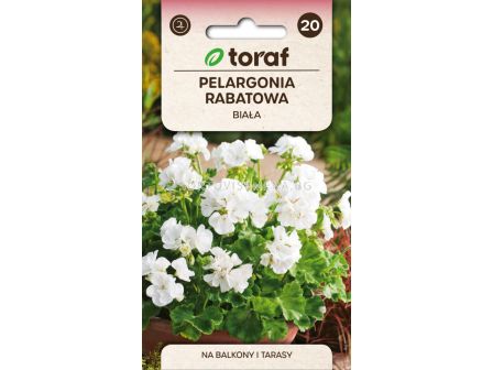 СЕМЕНА МУШКАТО БЯЛО Х Pelargonia rabatowa BIALA F2 - ТОРАФ - 0,05 г