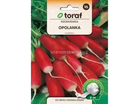 СЕМЕНА РЕПИЧКИ Opolanka 6М ЛЕНТА - ТОРАФ