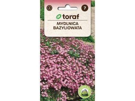 СЕМЕНА САПОНАРИЯ Mydlnica bazyliowata - ТОРАФ - 0,5 г