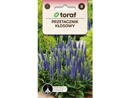 ТОРАФ СЕМЕНА ВЕРОНИКА Przetacznik klosowy | Veronica spicata - 0,1 г