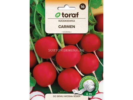 СЕМЕНА РЕПИЧКИ Carmen 6М ЛЕНТА - ТОРАФ