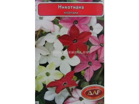 Никотиана