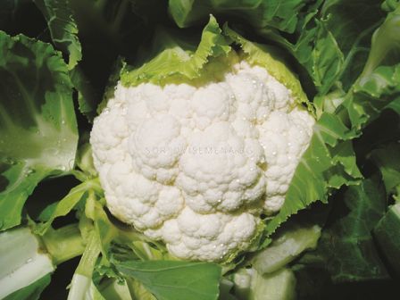 Семена карфиол Сеул F1 - 2500 с.