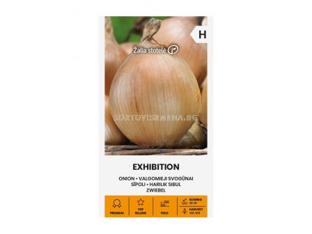 СК  СЕМЕНА ЛУК ЕКСИХИБИШЪН ONION, EXHIBITION