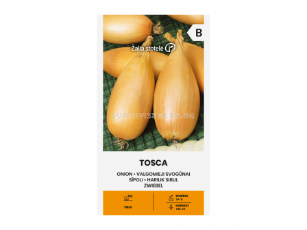 Семена ЛУК ТОСКА ONION,TOSCA -  СК - 1