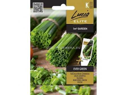 СК Семена ЛУК EVER GREEN - 2 г