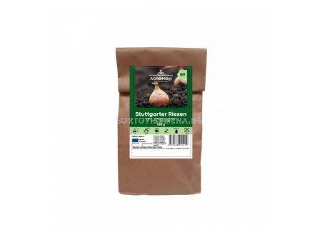 СК СЕМЕНА ЛУК STUTTGARTER RIESEN - 100Г 
