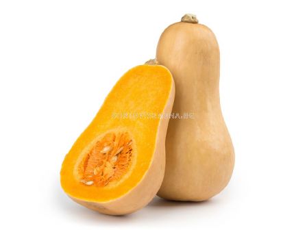 Семена тиква ORANGE F1 /ZKI/ - 1000 семена