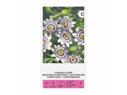 СК ПАСИФЛОРА PASIFLORA, COREULEA BLUE - 2