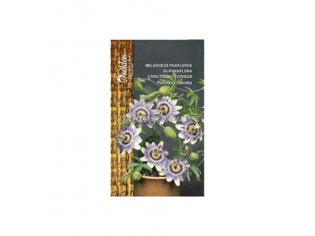 СК ПАСИФЛОРА PASIFLORA, COREULEA BLUE - 1