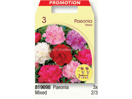 Божур микс - 1 пакет - 3 броя